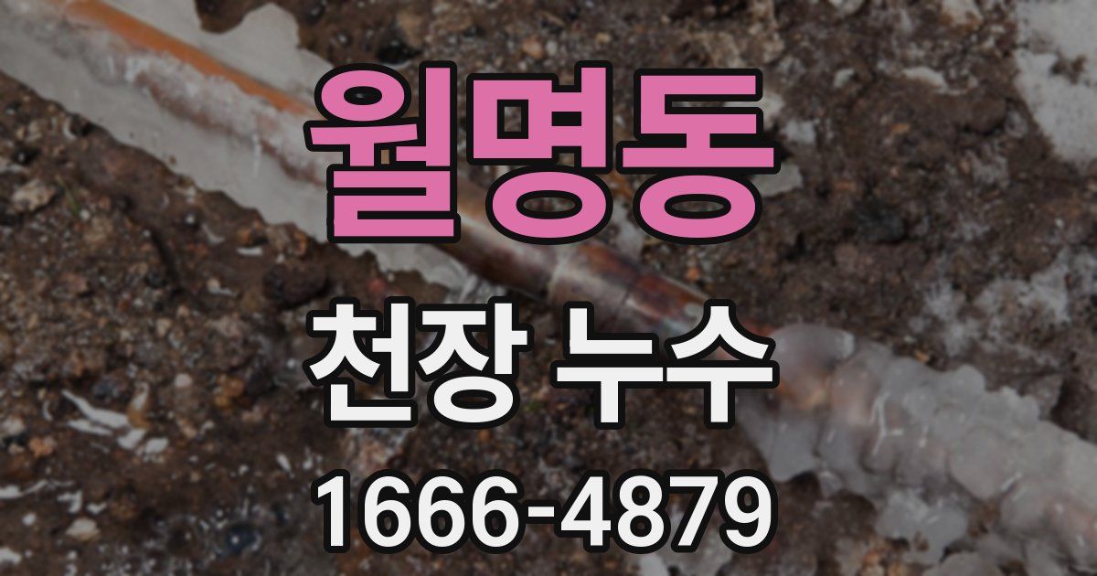 월명동 천장 누수