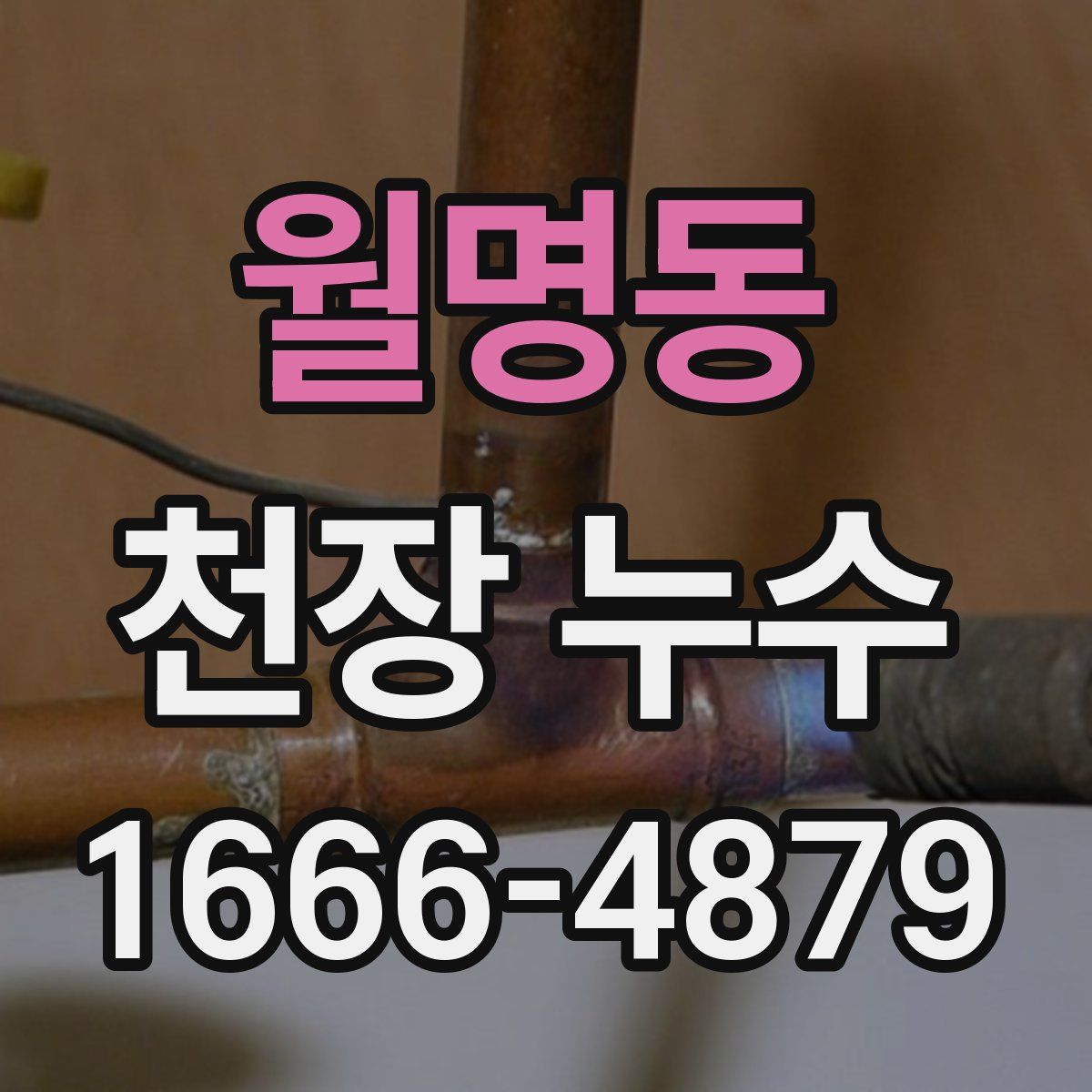 월명동 천장 누수