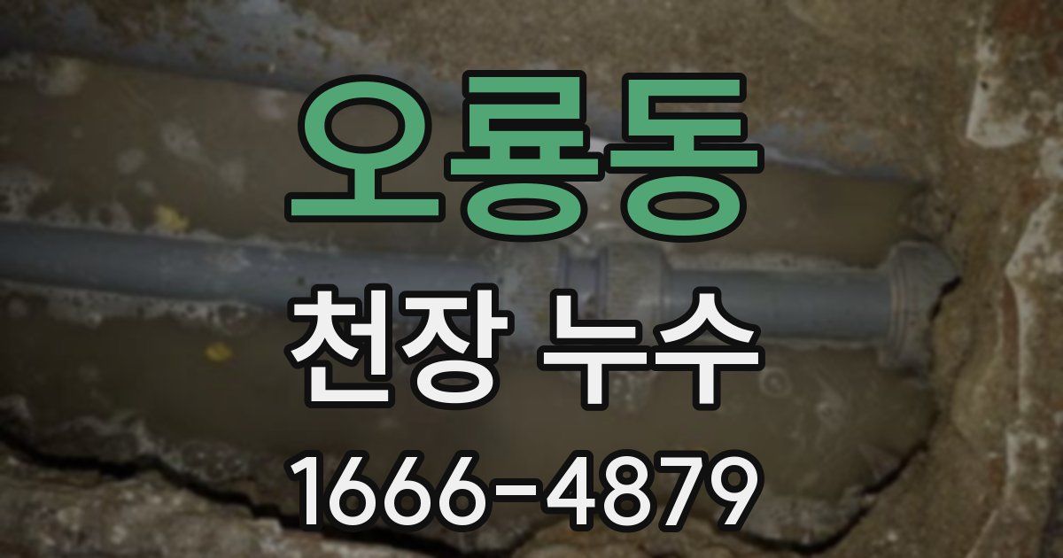 오룡동 천장 누수
