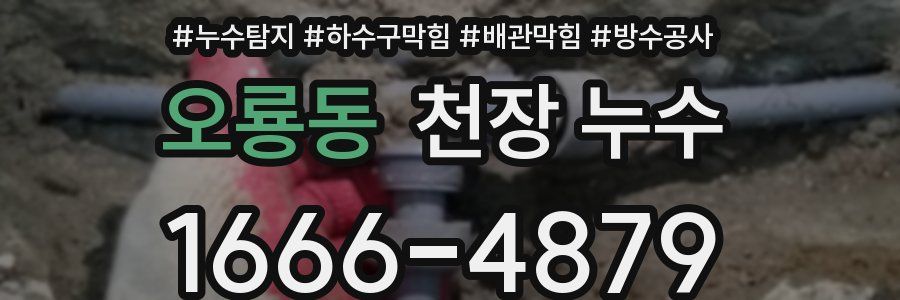 오룡동 천장 누수