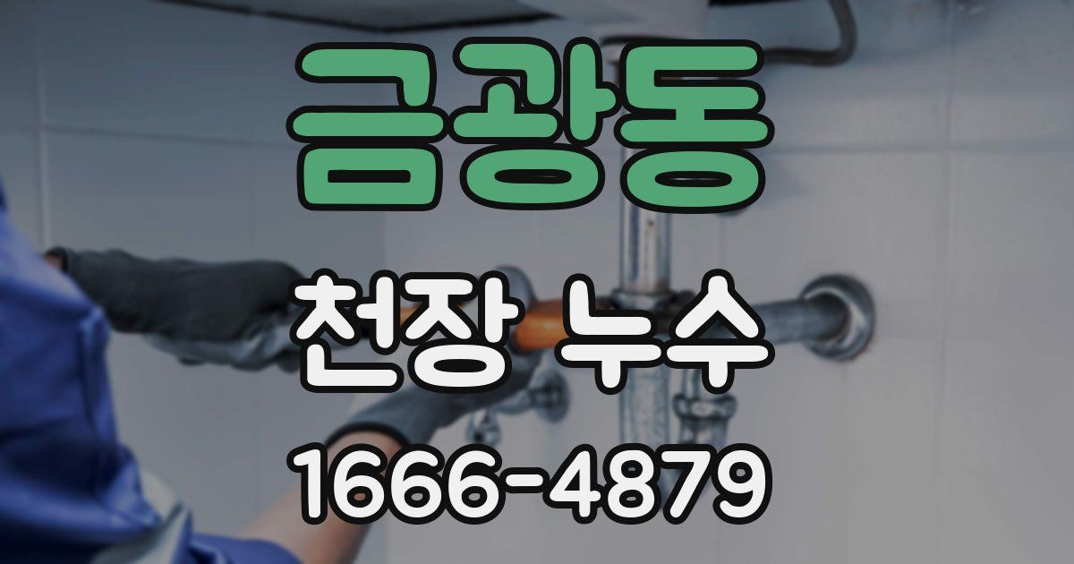 금광동 천장 누수