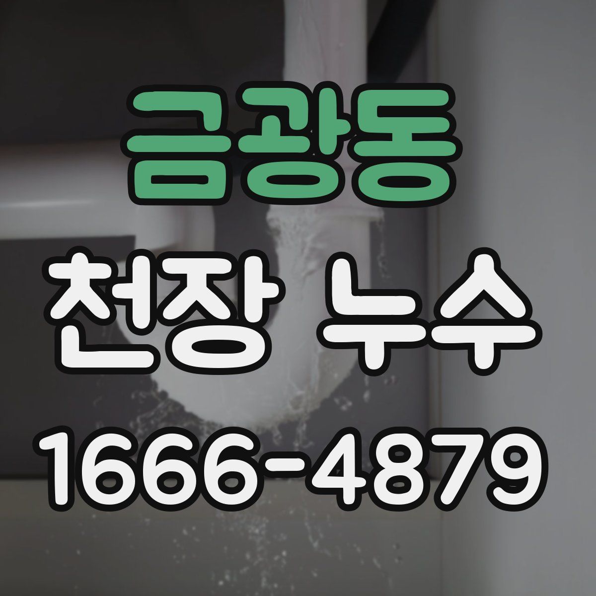 금광동 천장 누수