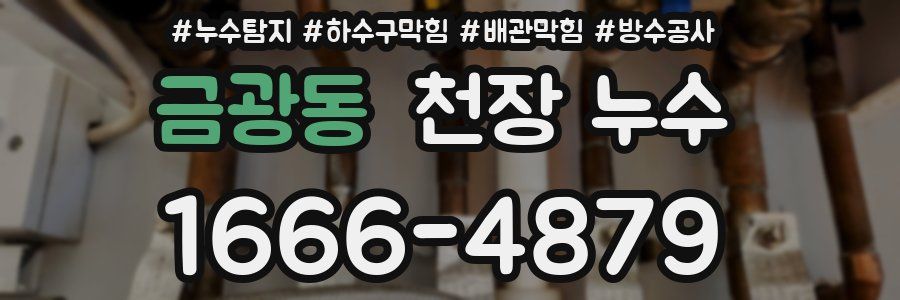 금광동 천장 누수