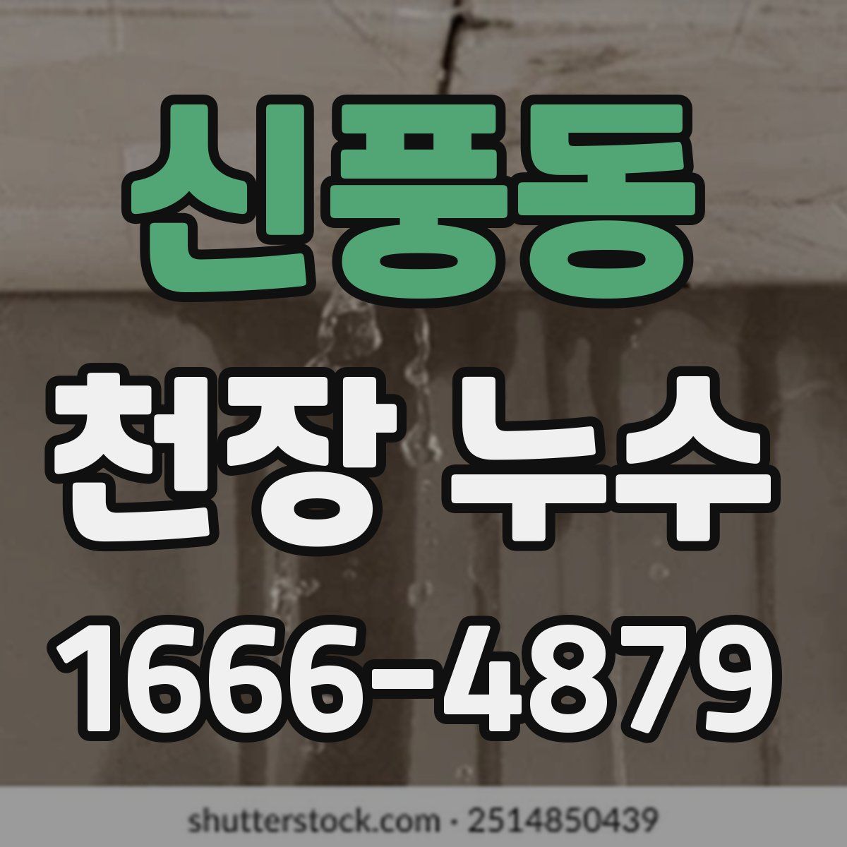신풍동 천장 누수