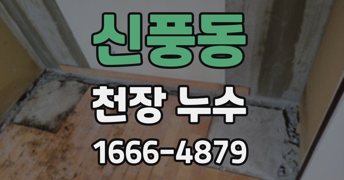 신풍동 천장 누수