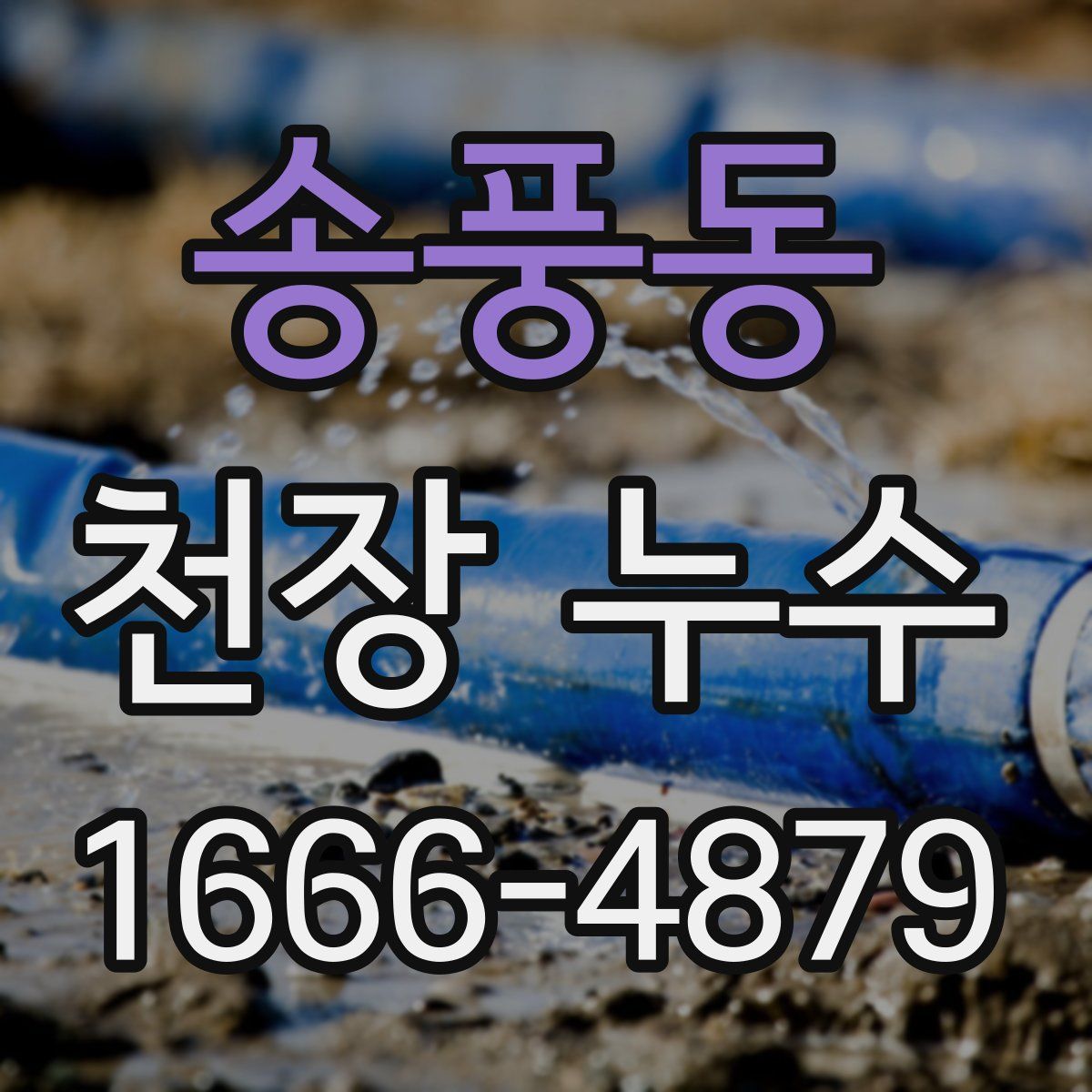 송풍동 천장 누수