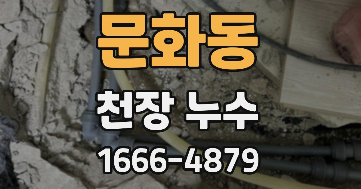 문화동 천장 누수