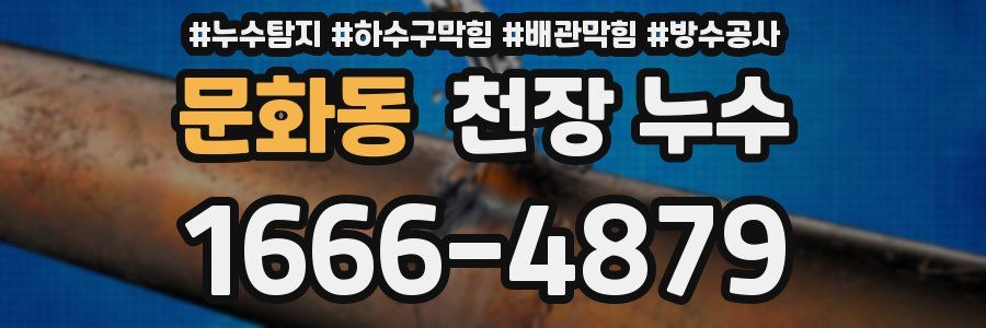 문화동 천장 누수