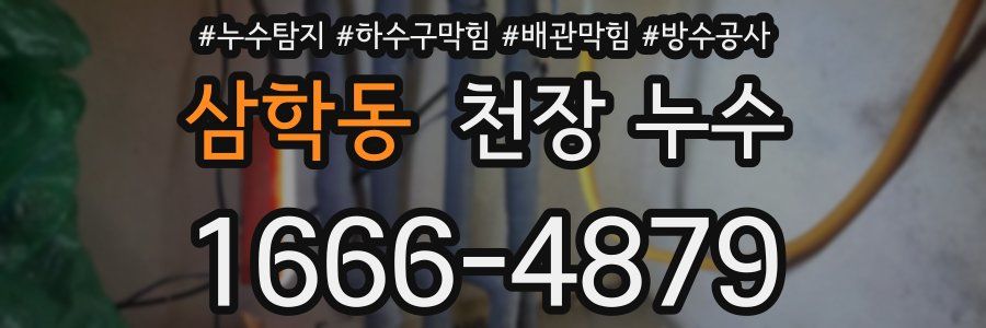 삼학동 천장 누수
