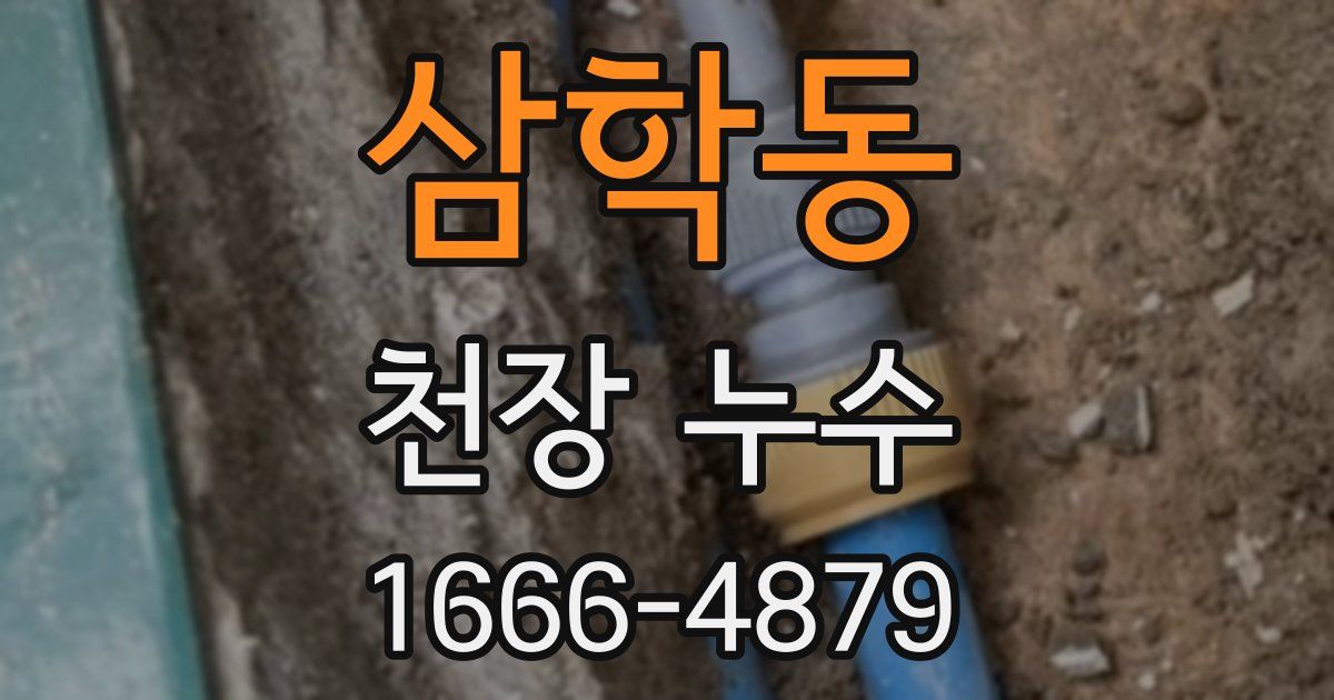 삼학동 천장 누수