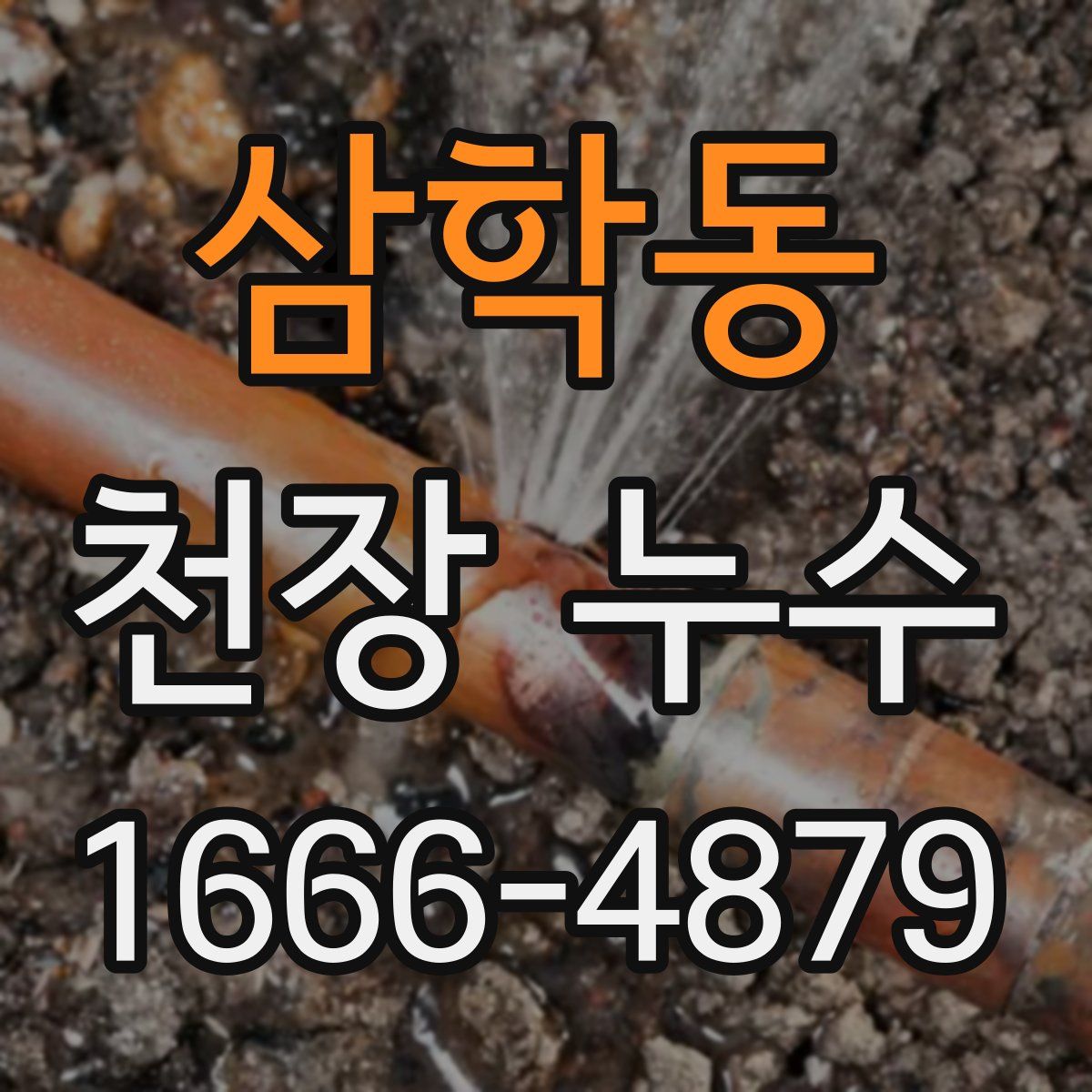 삼학동 천장 누수
