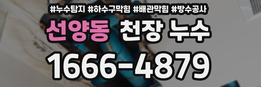 선양동 천장 누수
