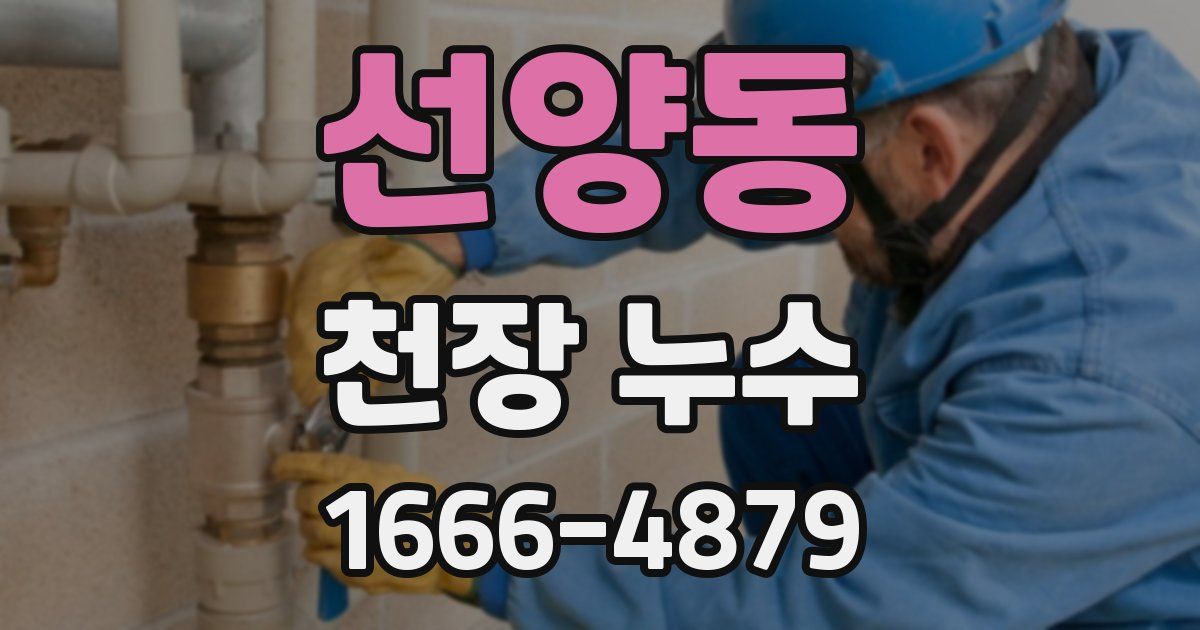 선양동 천장 누수