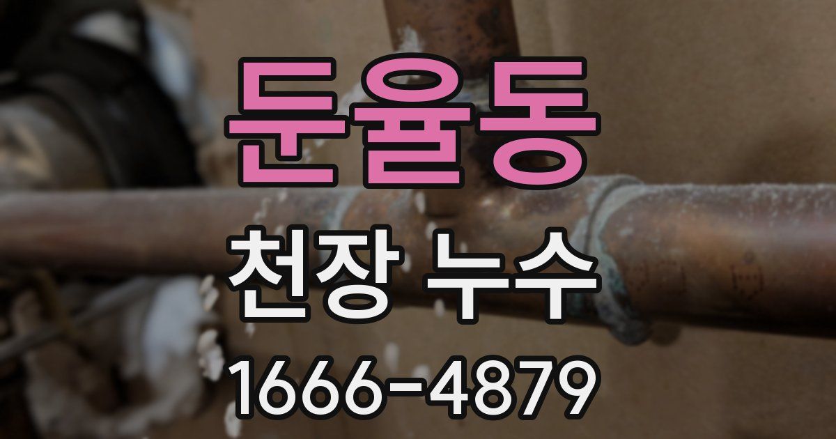 둔율동 천장 누수