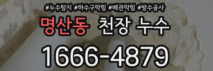 명산동 천장 누수