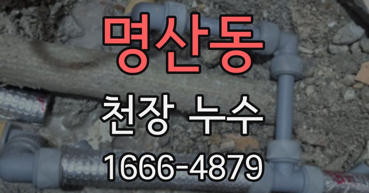 명산동 천장 누수