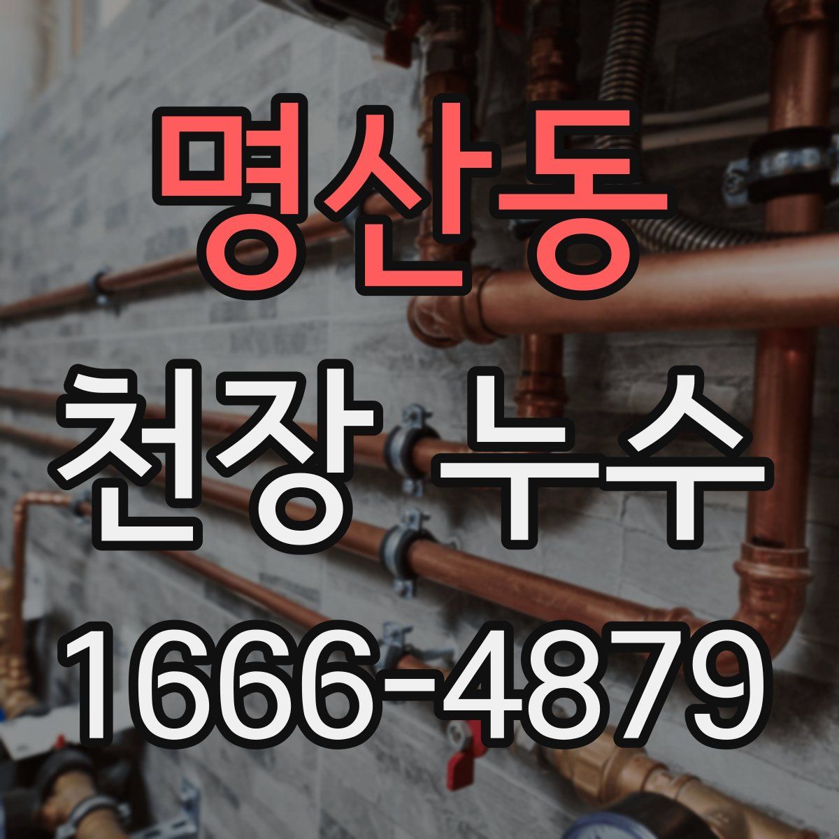 명산동 천장 누수
