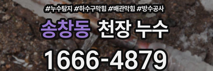 송창동 천장 누수