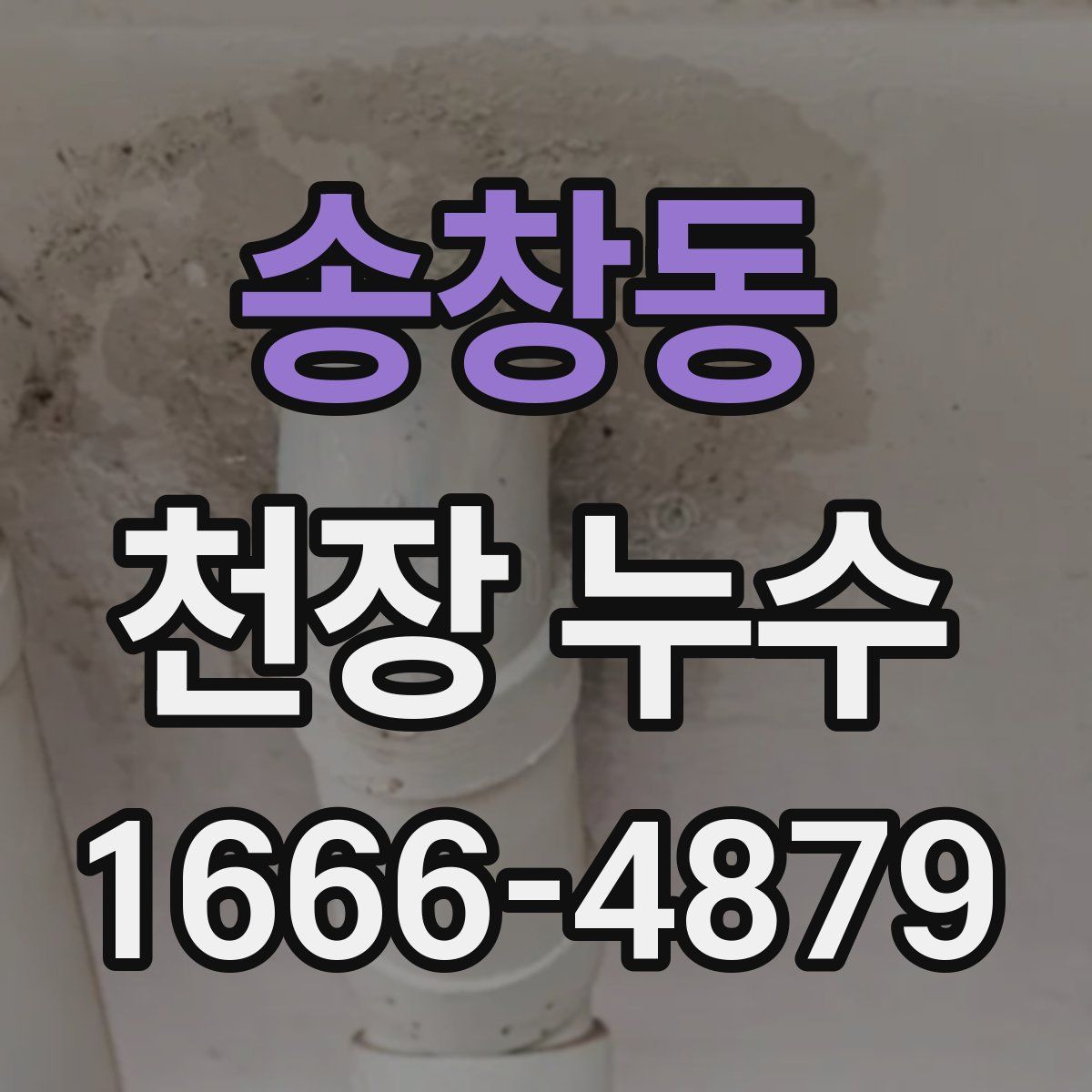 송창동 천장 누수