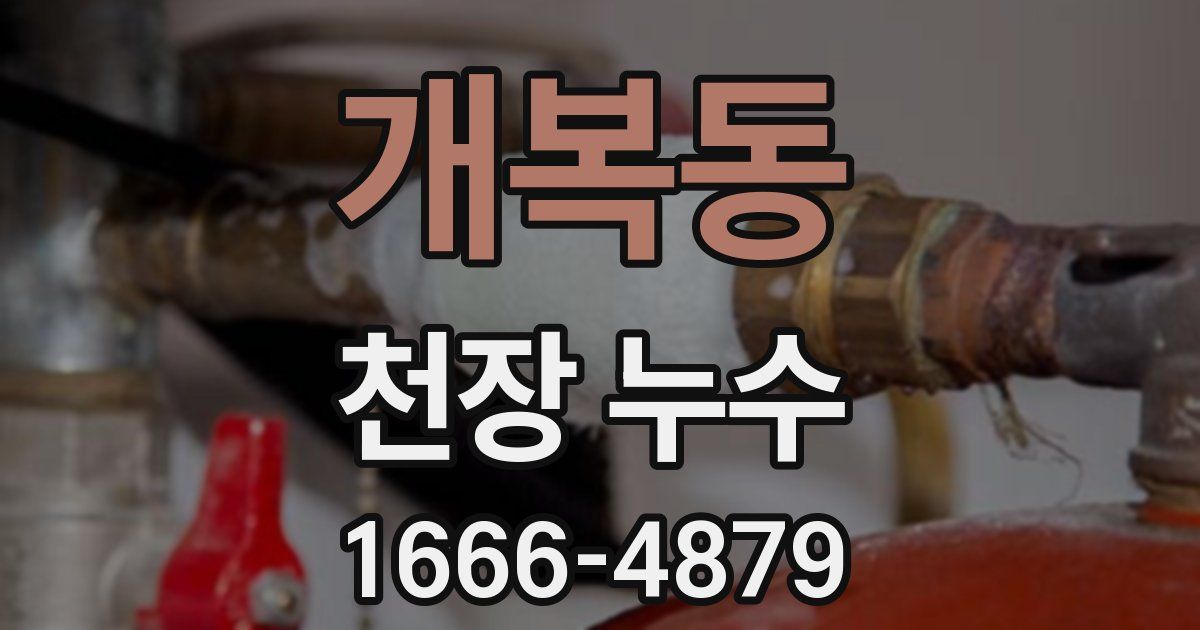 개복동 천장 누수