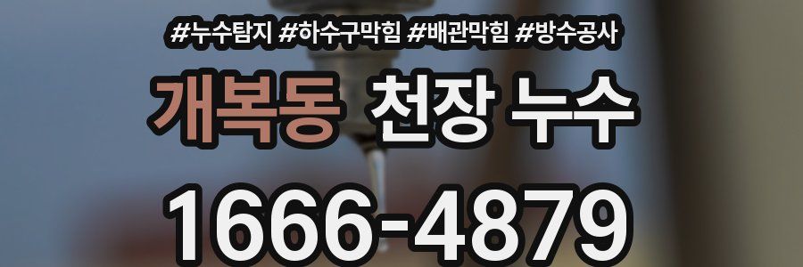 개복동 천장 누수