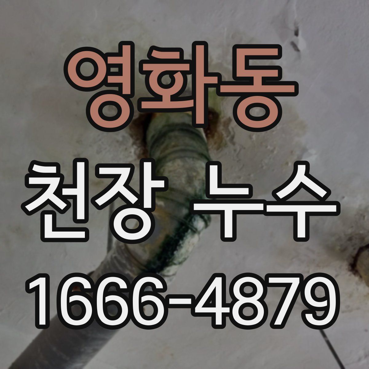 영화동 천장 누수