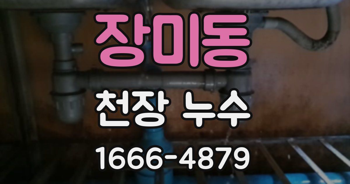 장미동 천장 누수