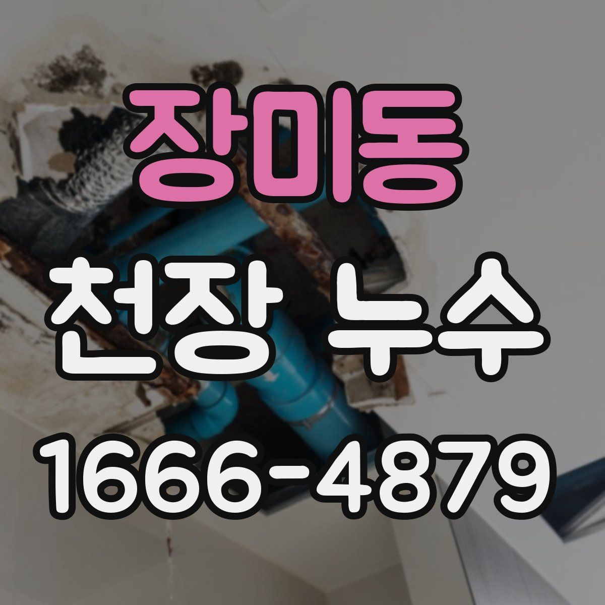 장미동 천장 누수
