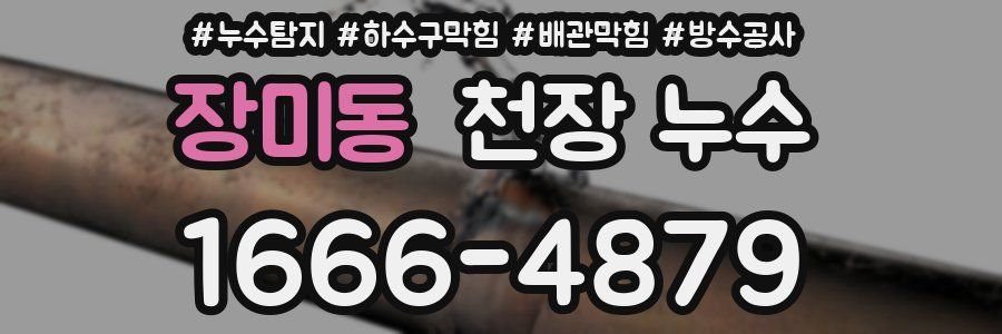 장미동 천장 누수