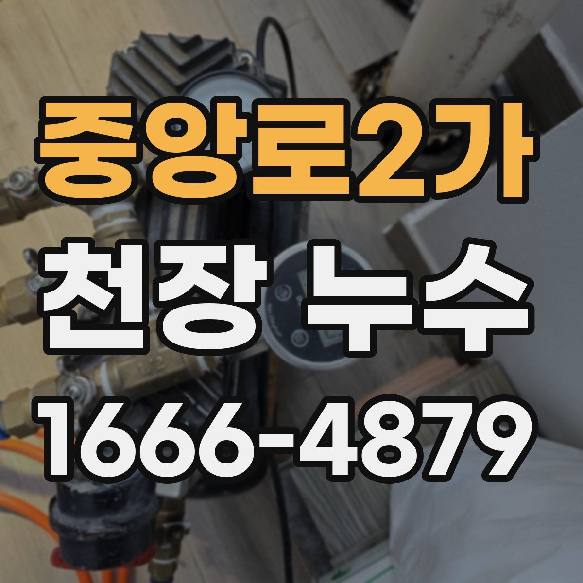 중앙로2가 천장 누수