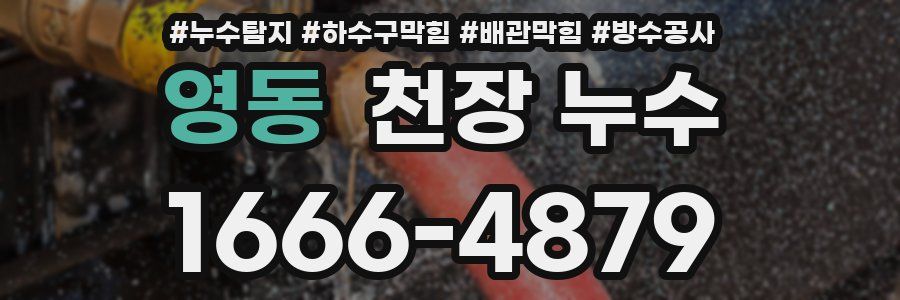 영동 천장 누수