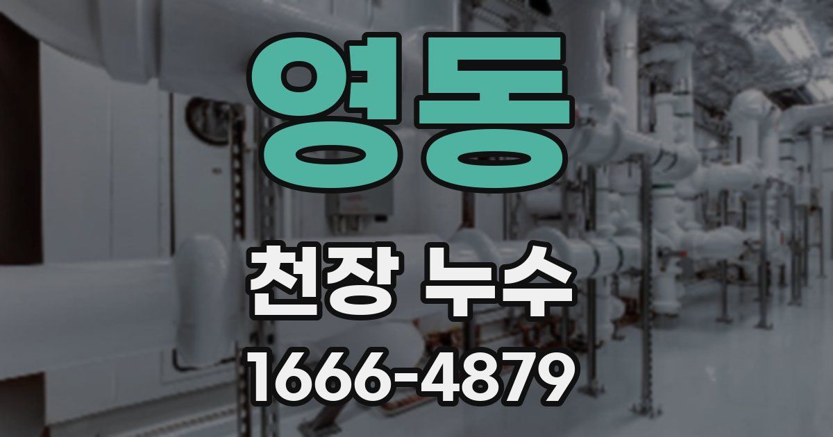 영동 천장 누수