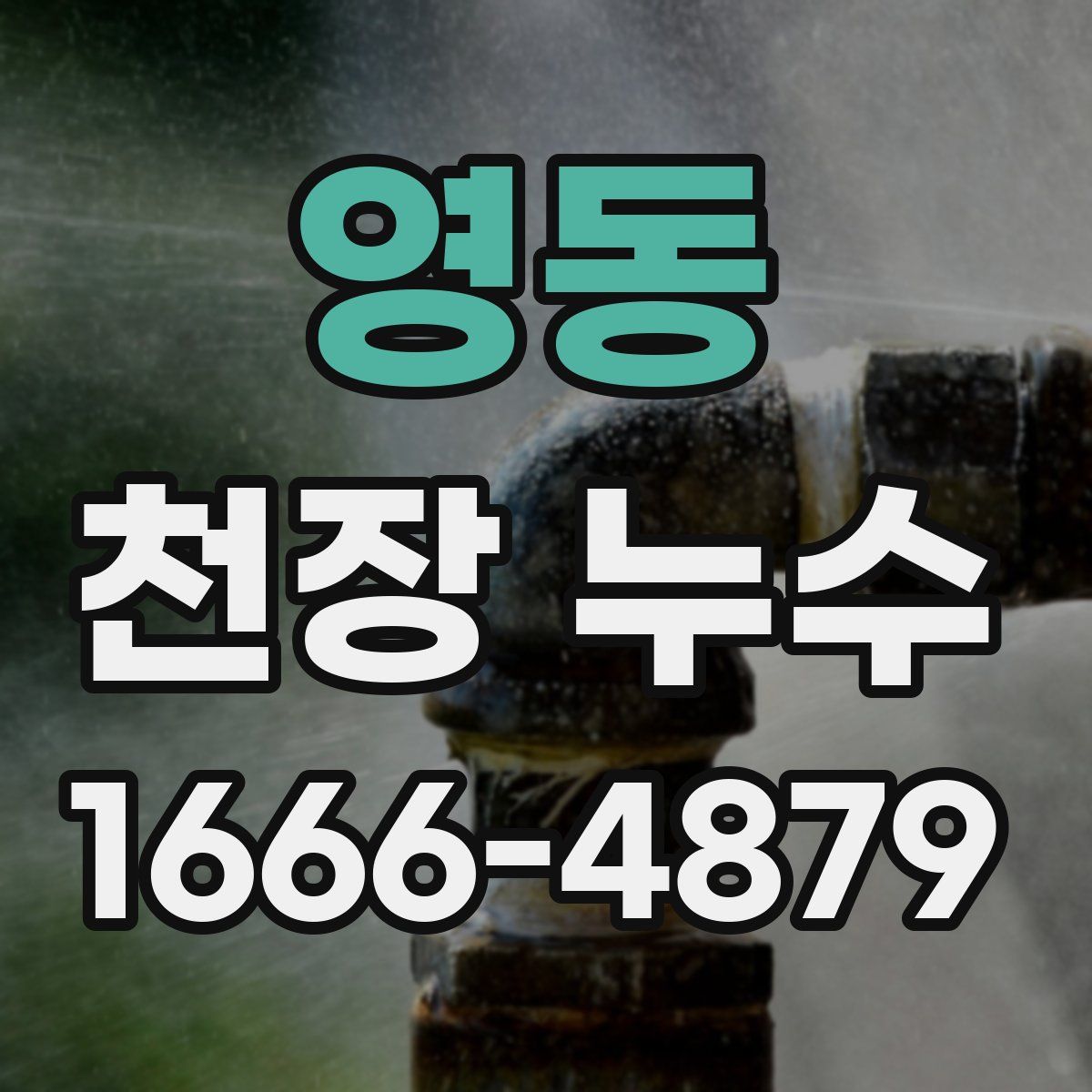 영동 천장 누수