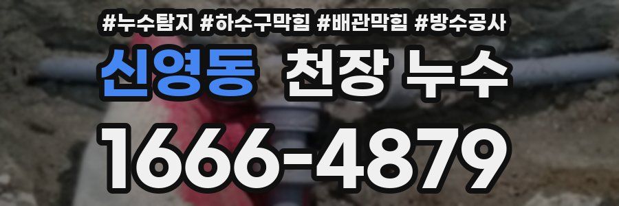 신영동 천장 누수
