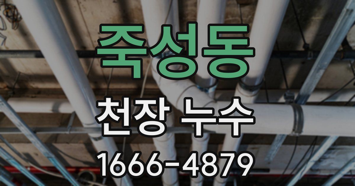 죽성동 천장 누수