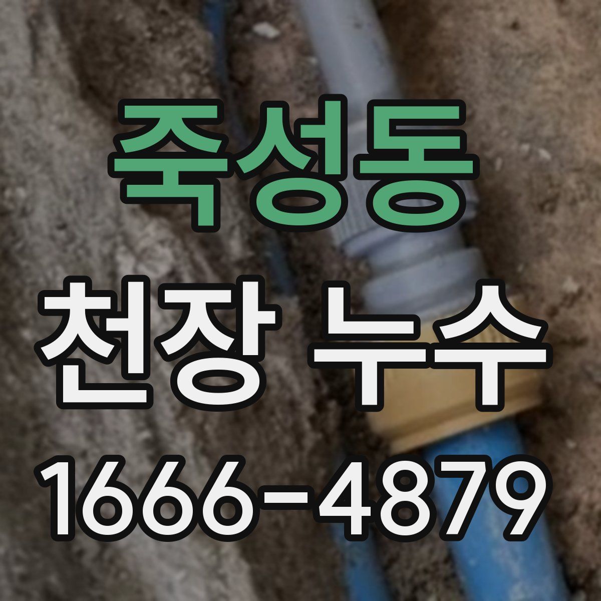 죽성동 천장 누수