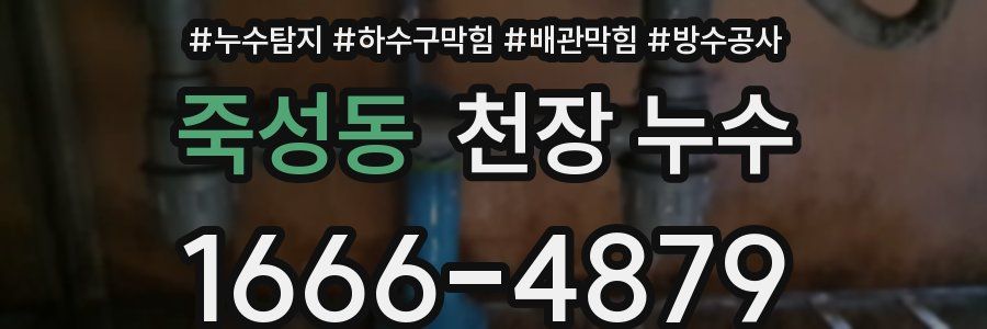 죽성동 천장 누수