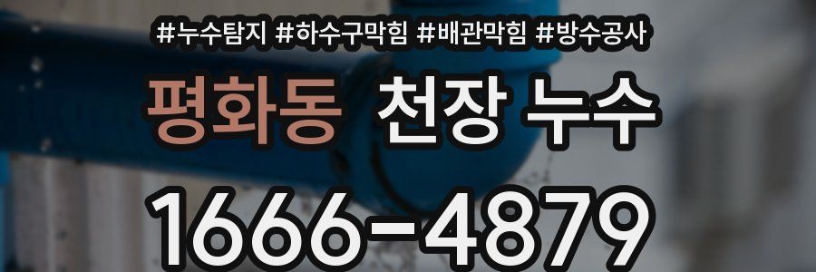 평화동 천장 누수