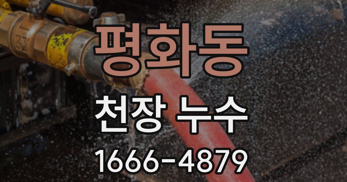 평화동 천장 누수