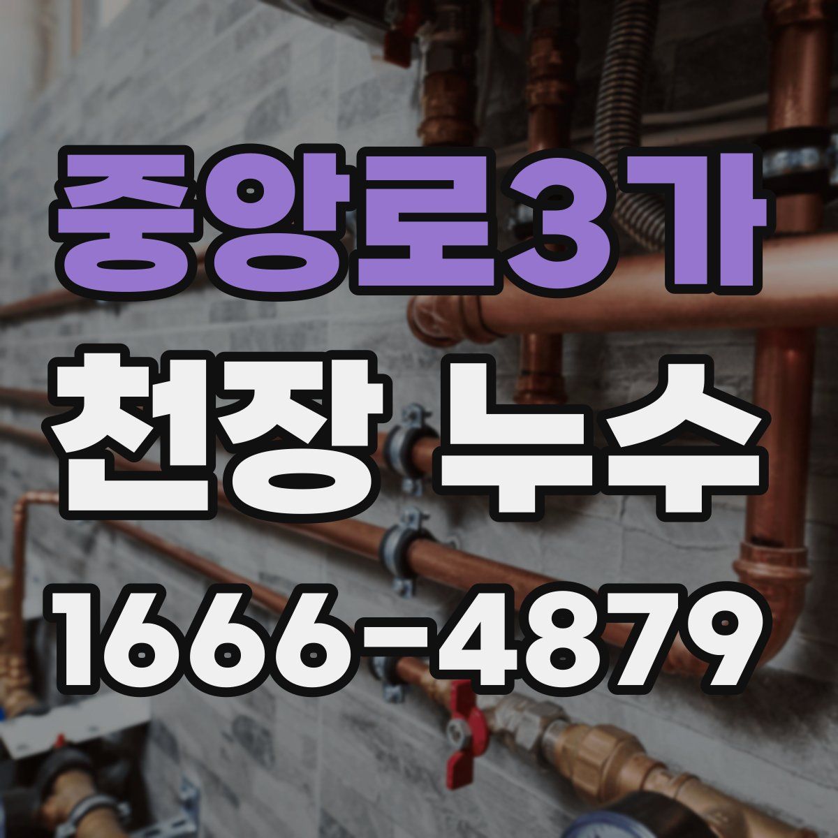 중앙로3가 천장 누수
