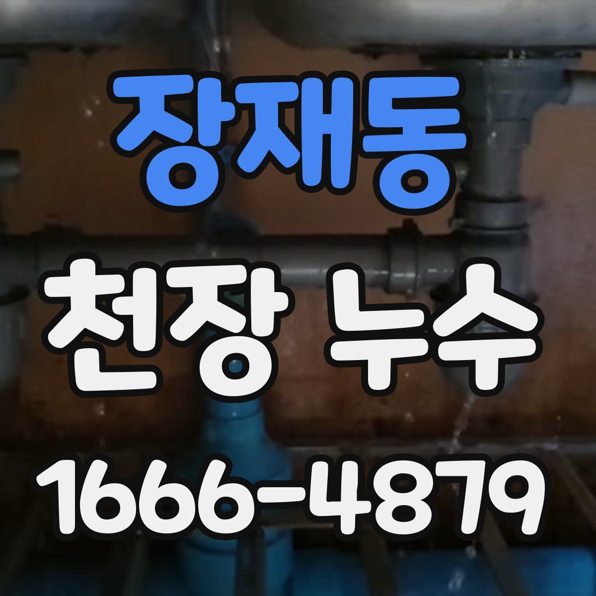 장재동 천장 누수