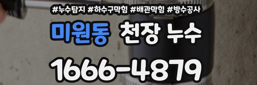 미원동 천장 누수