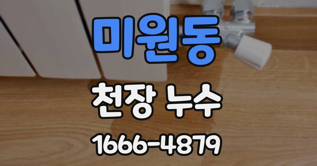 미원동 천장 누수