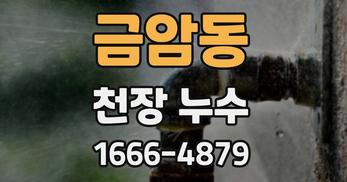 금암동 천장 누수
