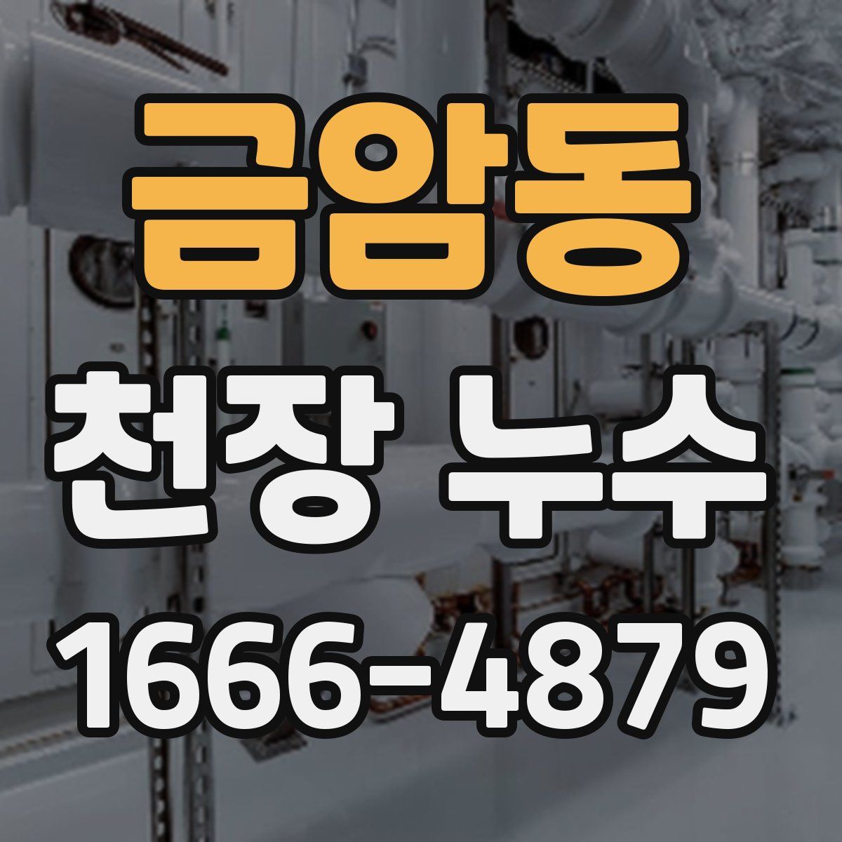 금암동 천장 누수