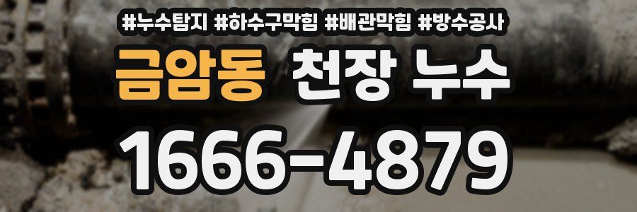 금암동 천장 누수