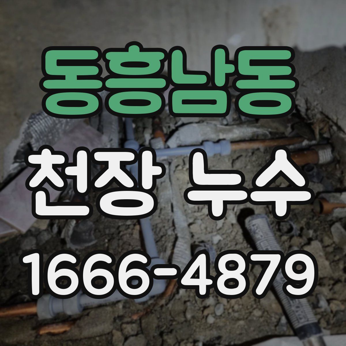 동흥남동 천장 누수
