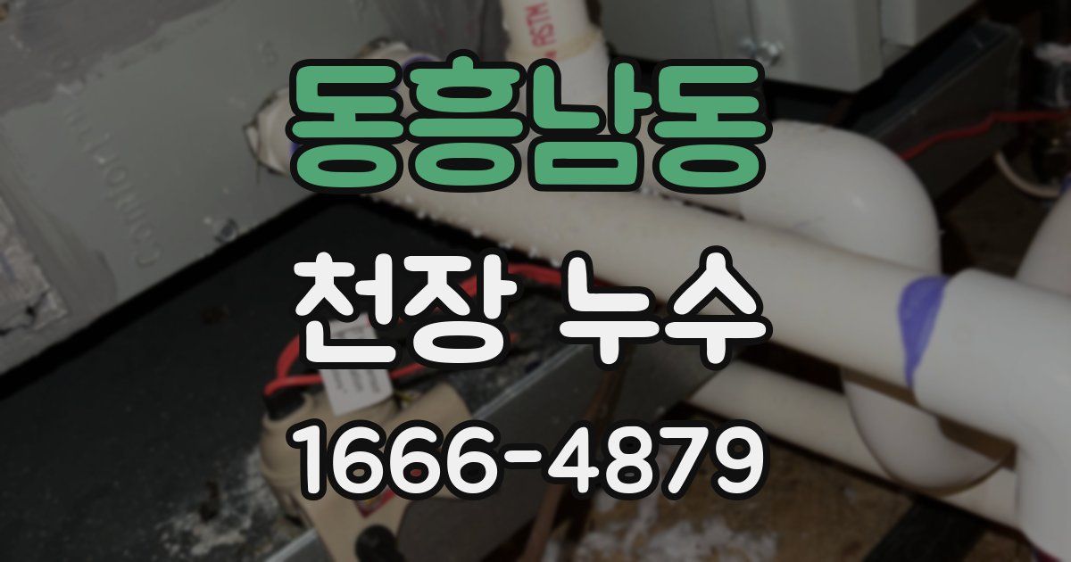 동흥남동 천장 누수