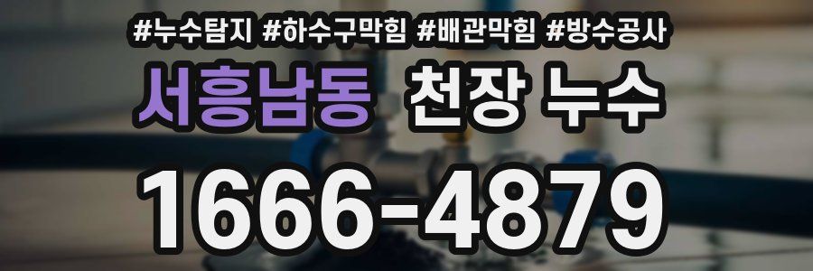 서흥남동 천장 누수
