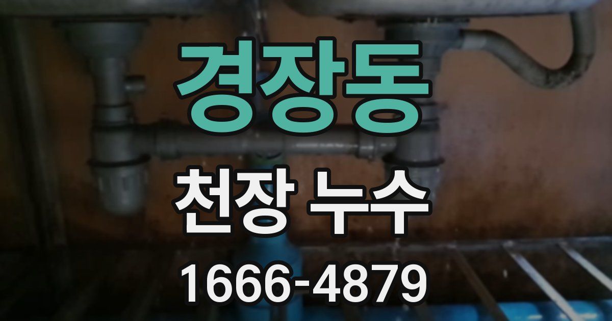 경장동 천장 누수